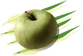 apples on white background