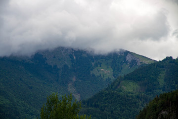Calm cloudy day on lakefront of Attersee with mountains in background in late summer. lake Attersee in the Austrian Salzkammergut