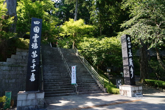 徳島県 太龍寺