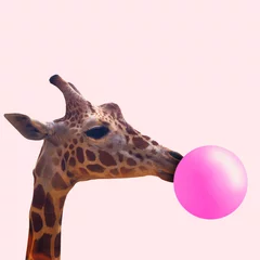 Kreative Giraffe. Aussehen der Jugend. Tier mit dem rosa Kaugummi auf korallenrotem Hintergrund. Negativer Platz zum Einfügen Ihres Textes. Modernes Design. Zeitgenössische Kunst. Kreative konzeptionelle und farbenfrohe Collage. © master1305