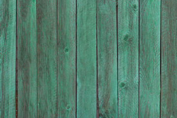 Old green color wood wall background. Place for text