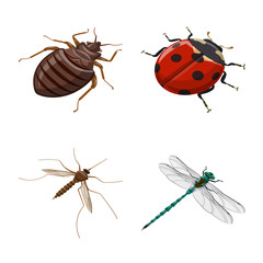 Isolated object of insect and fly sign. Collection of insect and entomology stock symbol for web.
