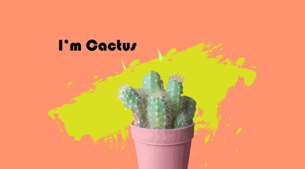 cactus on pink background