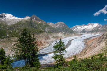 view over the mighty Aletsch Glacier in Switzerland