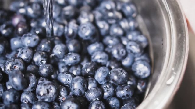 Frash blueberries. Healthy food concept.