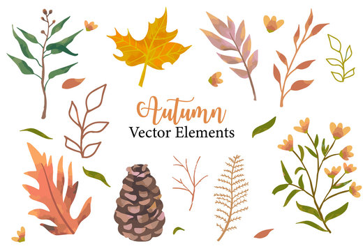 Autumn object set with dry tree,flower,acorn,leaves.Illustration for sticker,postcard,invitation,element website