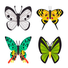 Isolated object of nature and summer logo. Set of nature and animal stock symbol for web.