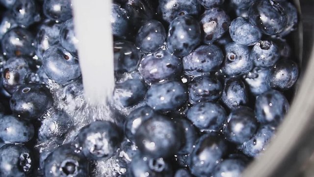 Frash blueberries. Healthy food concept.