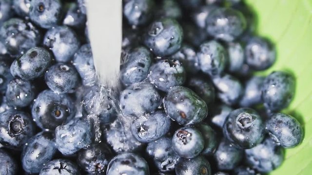 Frash blueberries. Healthy food concept.