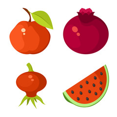 Isolated object of vegetable and food icon. Collection of vegetable and ripe vector icon for stock.