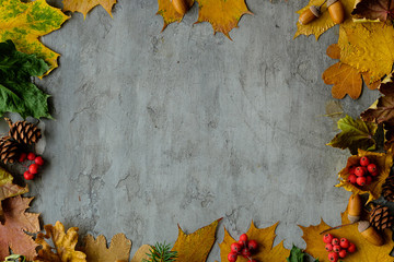 Naklejka na ściany i meble Autumn leaves decoration, cones, acorns and arrangement background with yellow leaves on a gray desktop, top view. Autumn workspace. Place for inscription and logo.