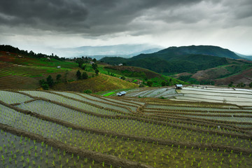 Beautiful scenery of rice terraces at Baan Pa Bong Pian. Rice terraces on high ground in Mae Chaem District, Chiang Mai Province, Thailand. 