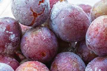 Ripe frozen sweet purple plums with hoarfrost. Natural organic healthy food.