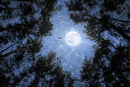 Airplane on the background of the lunar sky - Powered by Adobe