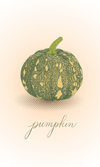 pumpkin vector art