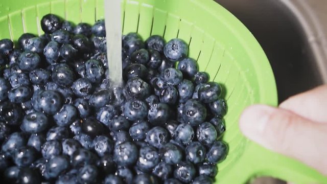 Frash blueberries. Healthy food concept.