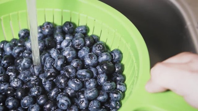 Frash blueberries. Healthy food concept.