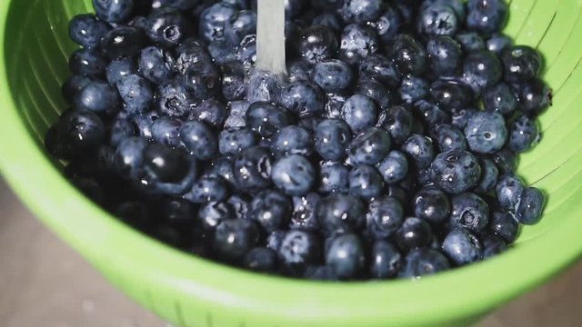 Frash blueberries. Healthy food concept.