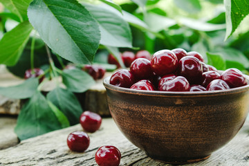 Cherry in a ceramic bowl and a branch of a cherry tree. Sweet organic berries on old wooden boards.