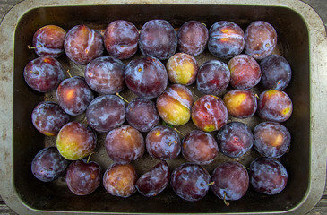 juicy ripe plums from the garden
