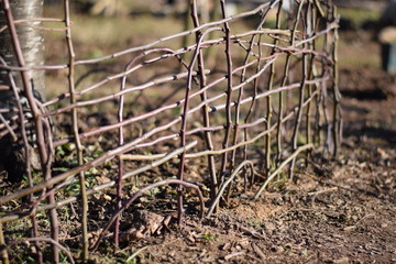 selbst geflochtener Gartenzaun