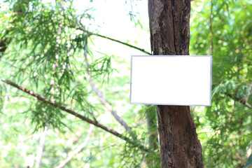 White blank screen sign board in the green park.