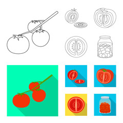 Vector design of vegetable and delicious icon. Collection of vegetable and natural stock vector illustration.