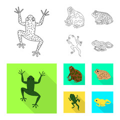 Isolated object of wildlife and bog logo. Set of wildlife and reptile vector icon for stock.