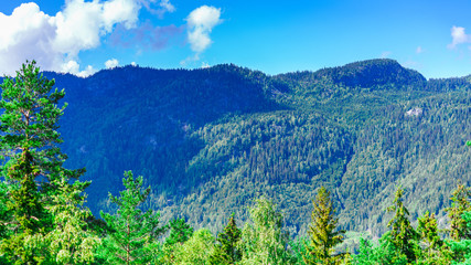 Góry w okolicy Flå Flo Buskerud w Norwegii © Dreamnordno