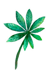 Watercolor lupins. Bright colorful green leaf