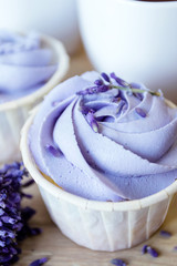 Lavender cupcakes. Desserts for birthday, weddings, holidays. Sweet purple background.