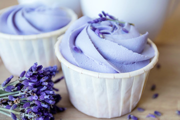 Lavender cupcakes. Desserts for birthday, weddings, holidays. Sweet purple background.