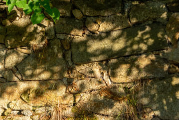 shadow of leaves on an old wall of irregular stones in warm morning sunlight