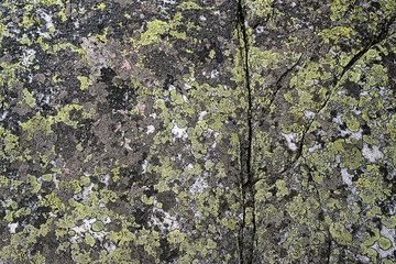 lichens on old stone surface close up. abstract natural background of stone and lichen. mineral with rough structure and lichen. mountain backdrop. Lichen rhizocarpon on stones south Ural Mountains