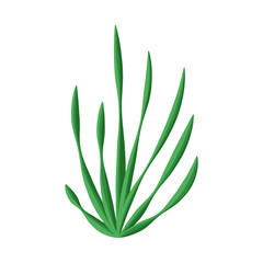 Vector illustration of seaweed and algae symbol. Set of seaweed and undersea stock vector illustration.