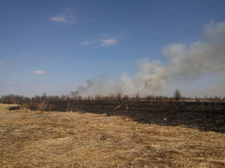 The field is half burned with smoke in the distance. Ecology problem