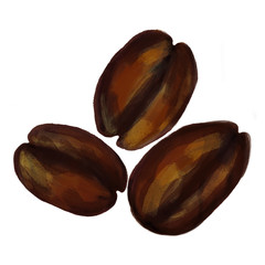 Kaffeebohnen bohnen malerei