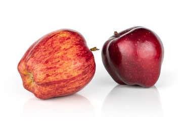 Group of two whole fresh apple red delicious one light and one dark isolated on white background