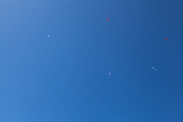 Many para-planner on clear blue sky