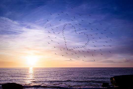beautiful sunset on the sea and the heart in the sun from the silhouettes of birds	