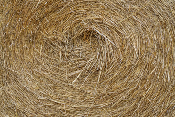 closeup of a dried straw bale as a background