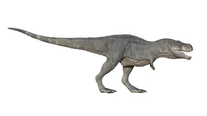 Obraz na płótnie Canvas 3d render of Tyrannosaurus rex on a white background