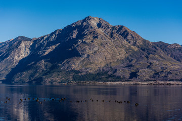 Flock of ducks swimming at Epuyen lake against Andes mountains in Puerto Patriada, Patagonia, Argentina