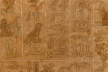 Ancient egyptian hieroglyphs carved on the stone wall