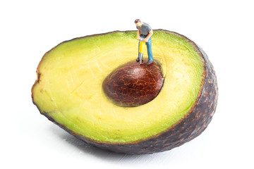 People Working with Food, Miniature people harvesting an Avocado, construction site