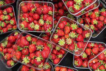 Fresh red Strawberry fruits