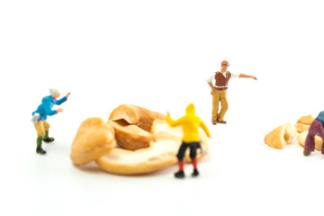 People Working with Food, Miniature people harvesting nuts/cashews, construction site