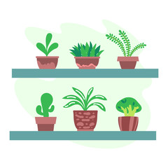 Vector illustration, isolated potted plants on a shelf, flat style. Can be used as interior element, applicable for bright home decorations leaflets, hygge illustrations etc.