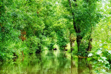 Nature park of the Marais poitevin swamp in Charente Maritime  