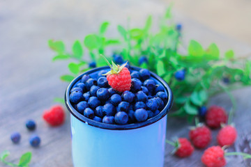 ripe blueberries in a metal mug. the summer harvest of berries. space for text